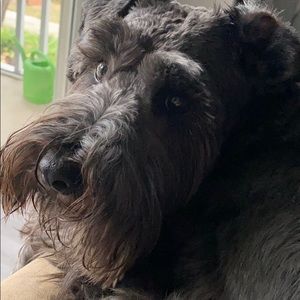 Meet your Posher, Yahaira